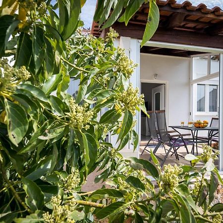 Avocado Apartment Dubrovnik Exterior foto